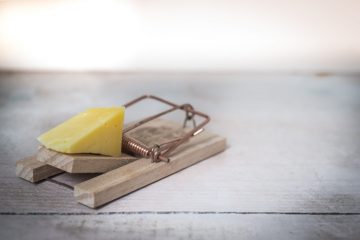 КАК ОБОЙТИ ЛОВУШКИ СОБСТВЕННОГО МОЗГА, ЧТОБЫ СТАТЬ УСПЕШНЕЕ ДРУГИХ 1 statiya-lovushki-mozga